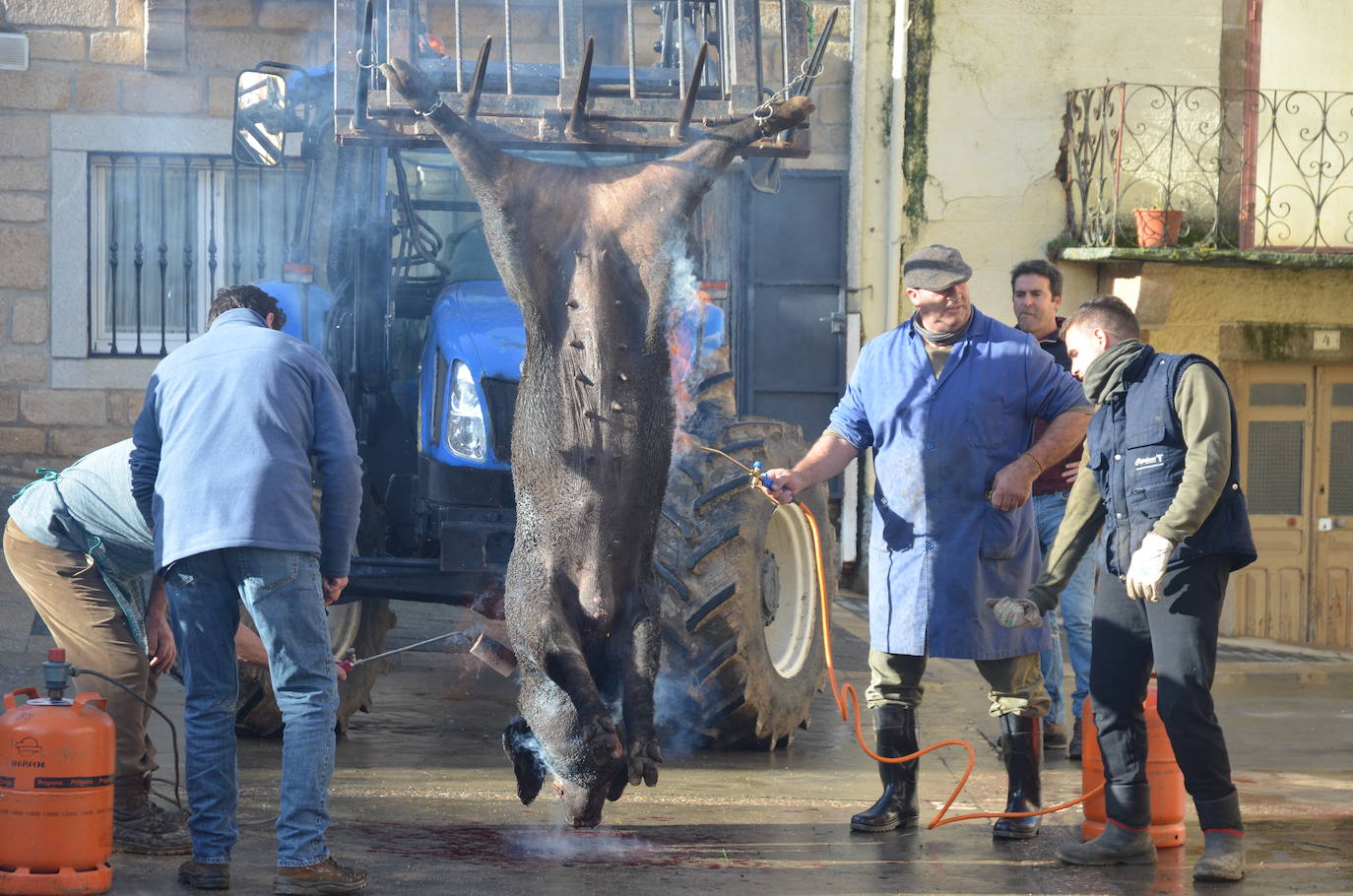 De matanza y degustaciones en Saucelle