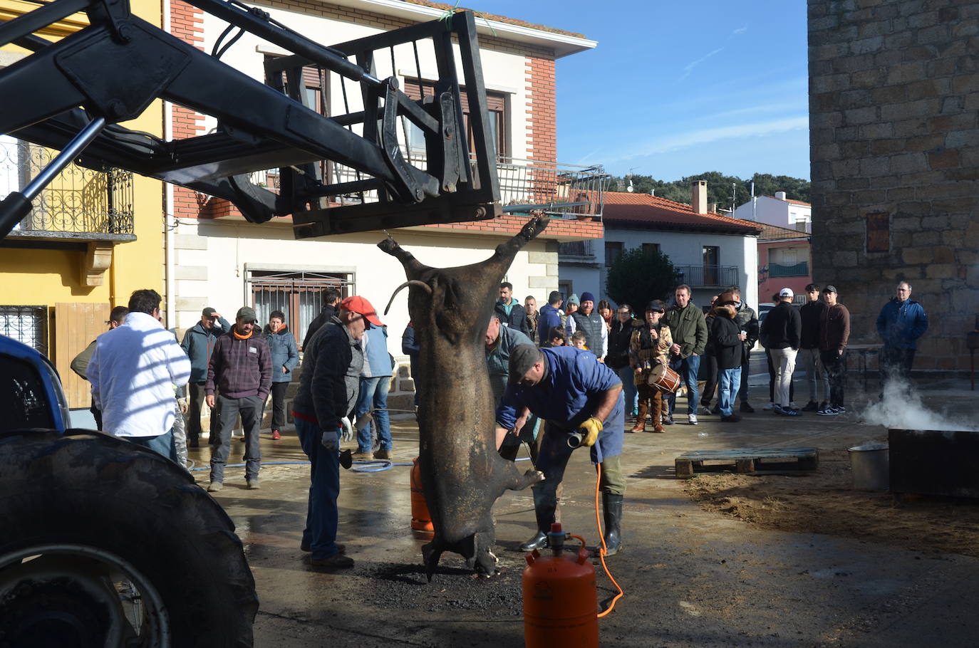 De matanza y degustaciones en Saucelle