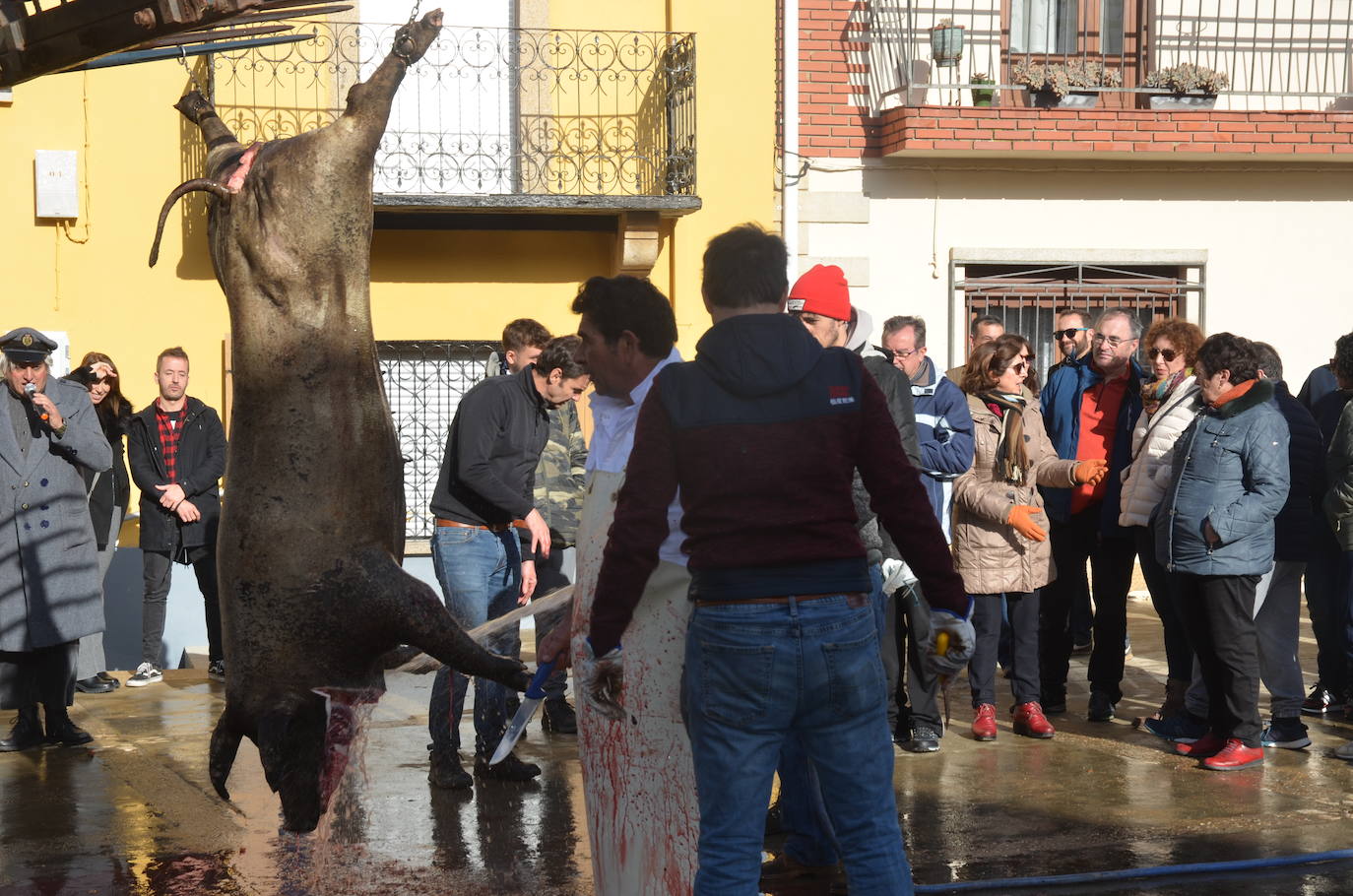 De matanza y degustaciones en Saucelle