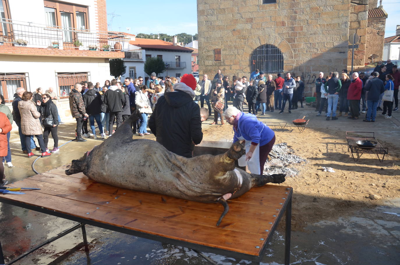 De matanza y degustaciones en Saucelle