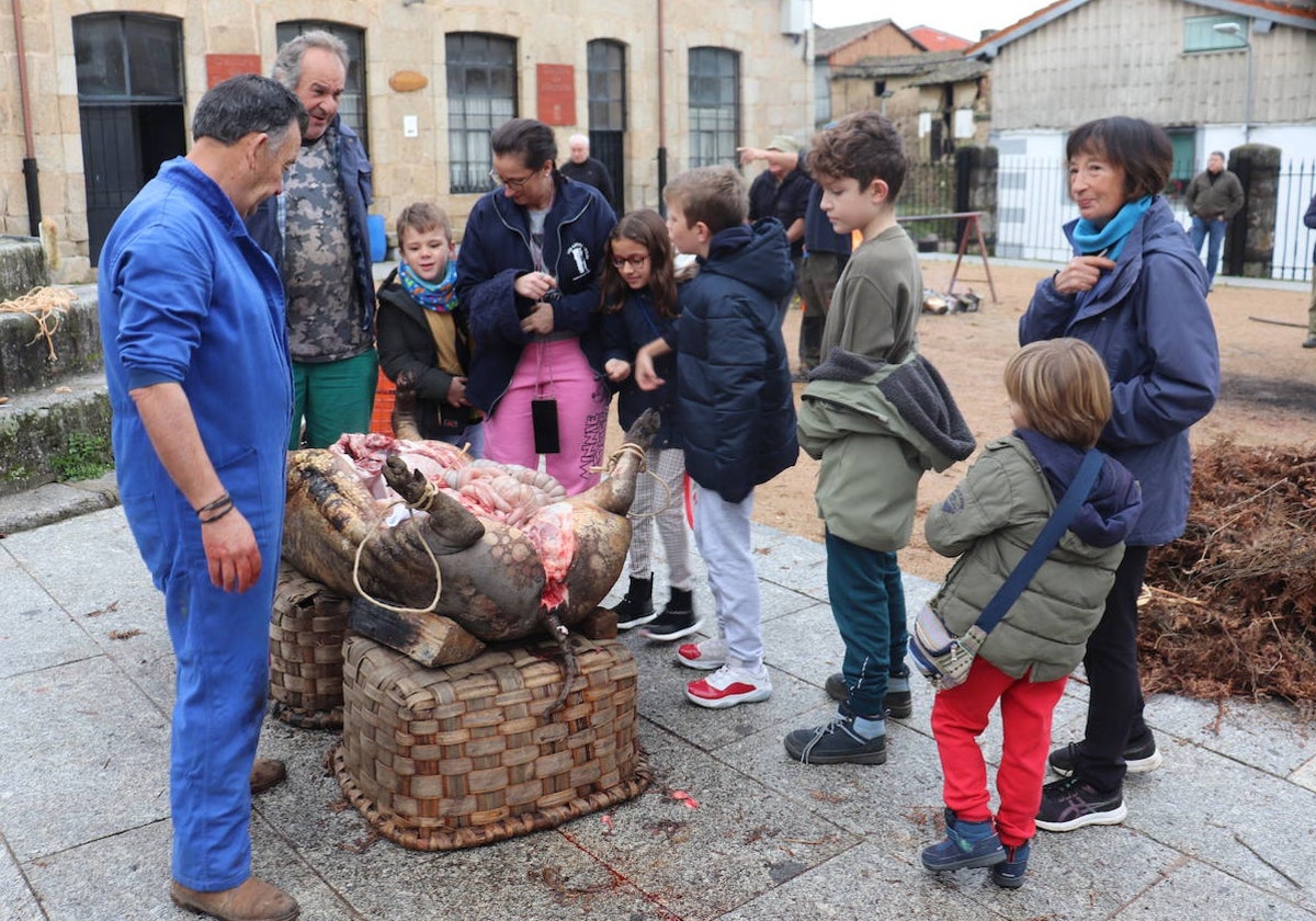 Santibáñez de la Sierra disfruta de una animada jornada matancera