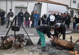 Chamuscado del marrano en la matanza de Fresno Alhándiga