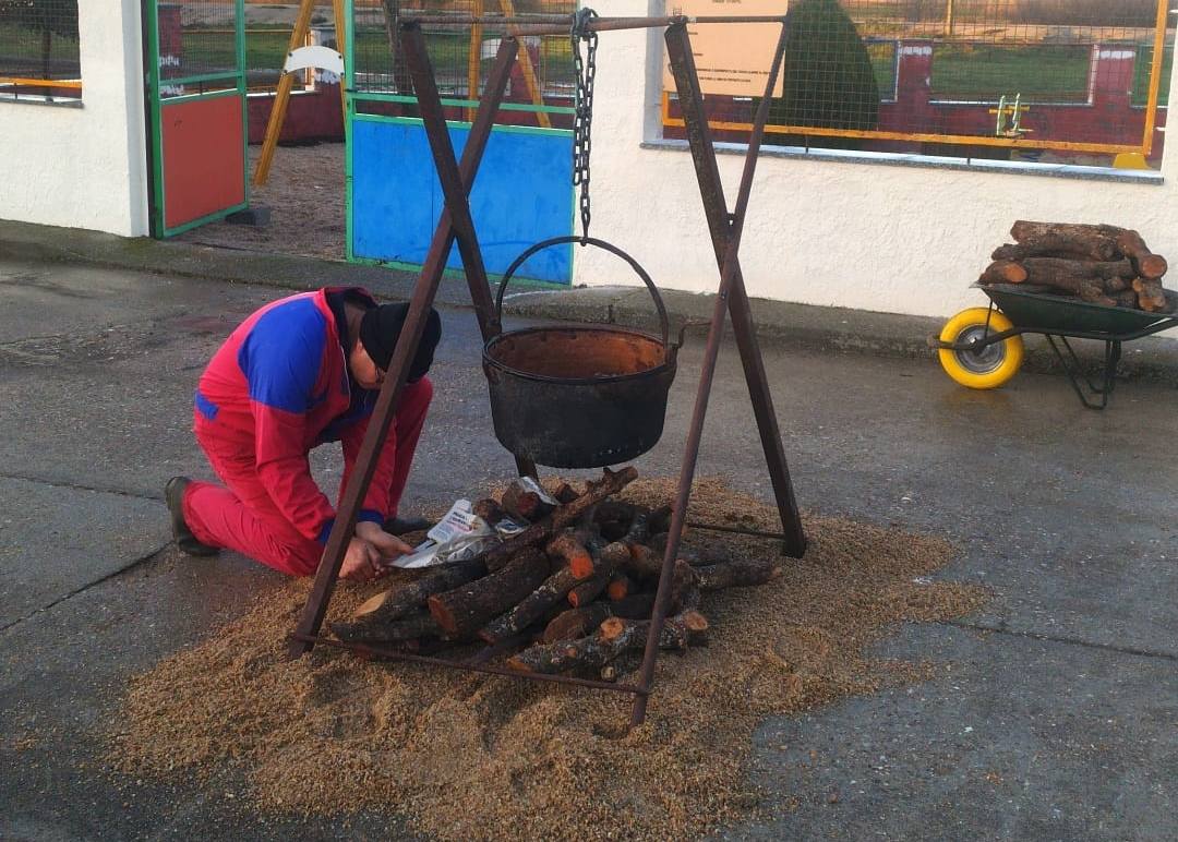 Las fotos de la matanza tradicional de Coca de Alba