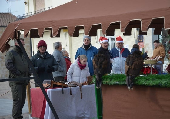 Exhibición de aves rapaces en el mercado de La Fuente de San Esteban