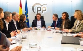 El líder del PP, Alberto Núñez Feijóo