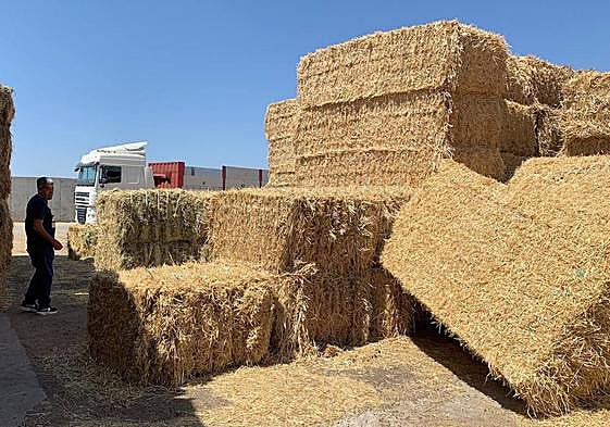 Acopio de paja por parte de los ganaderos.