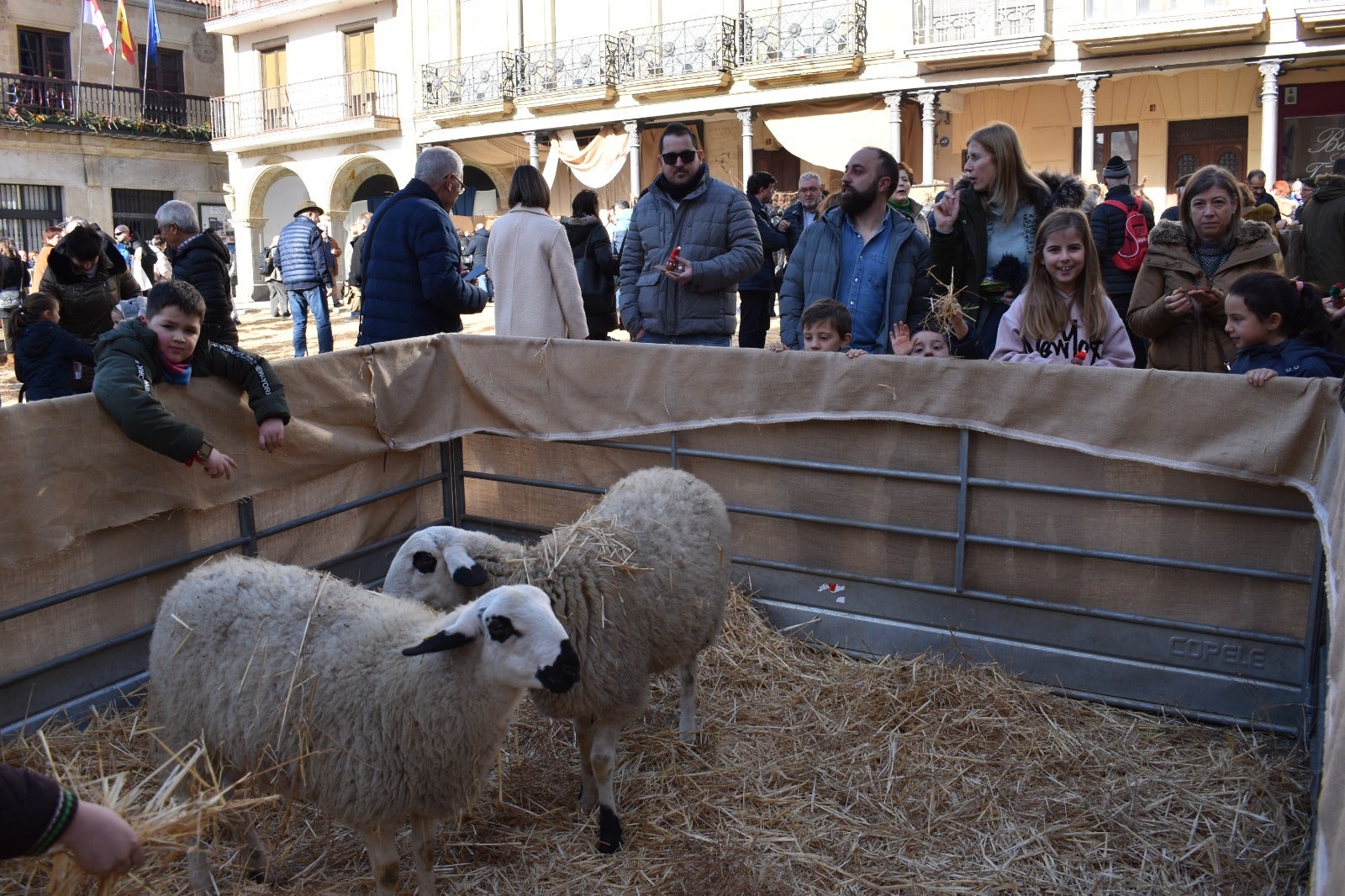 La Plaza Mayor de Alba de Tormes convertida en Belén después de más de quince años