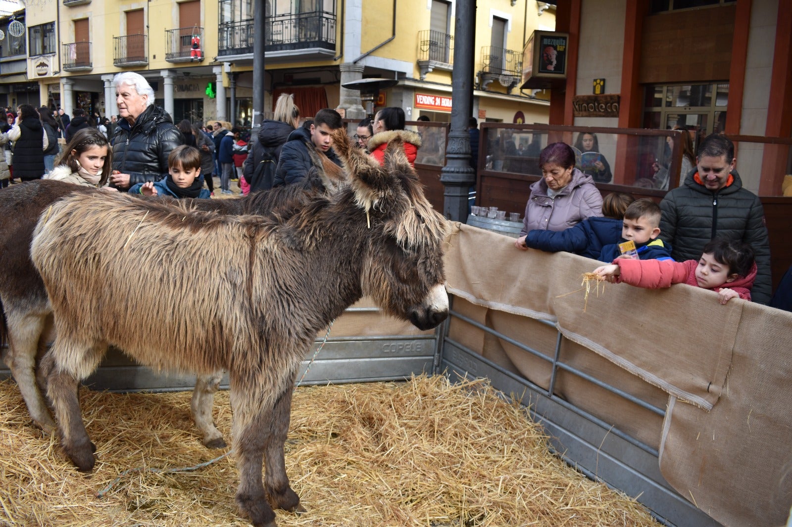 La Plaza Mayor de Alba de Tormes convertida en Belén después de más de quince años