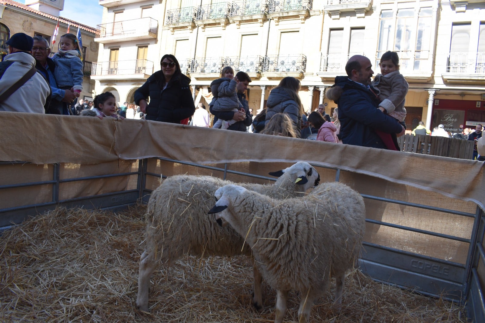 La Plaza Mayor de Alba de Tormes convertida en Belén después de más de quince años