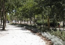 Una imagen del Parque de las Cruces.