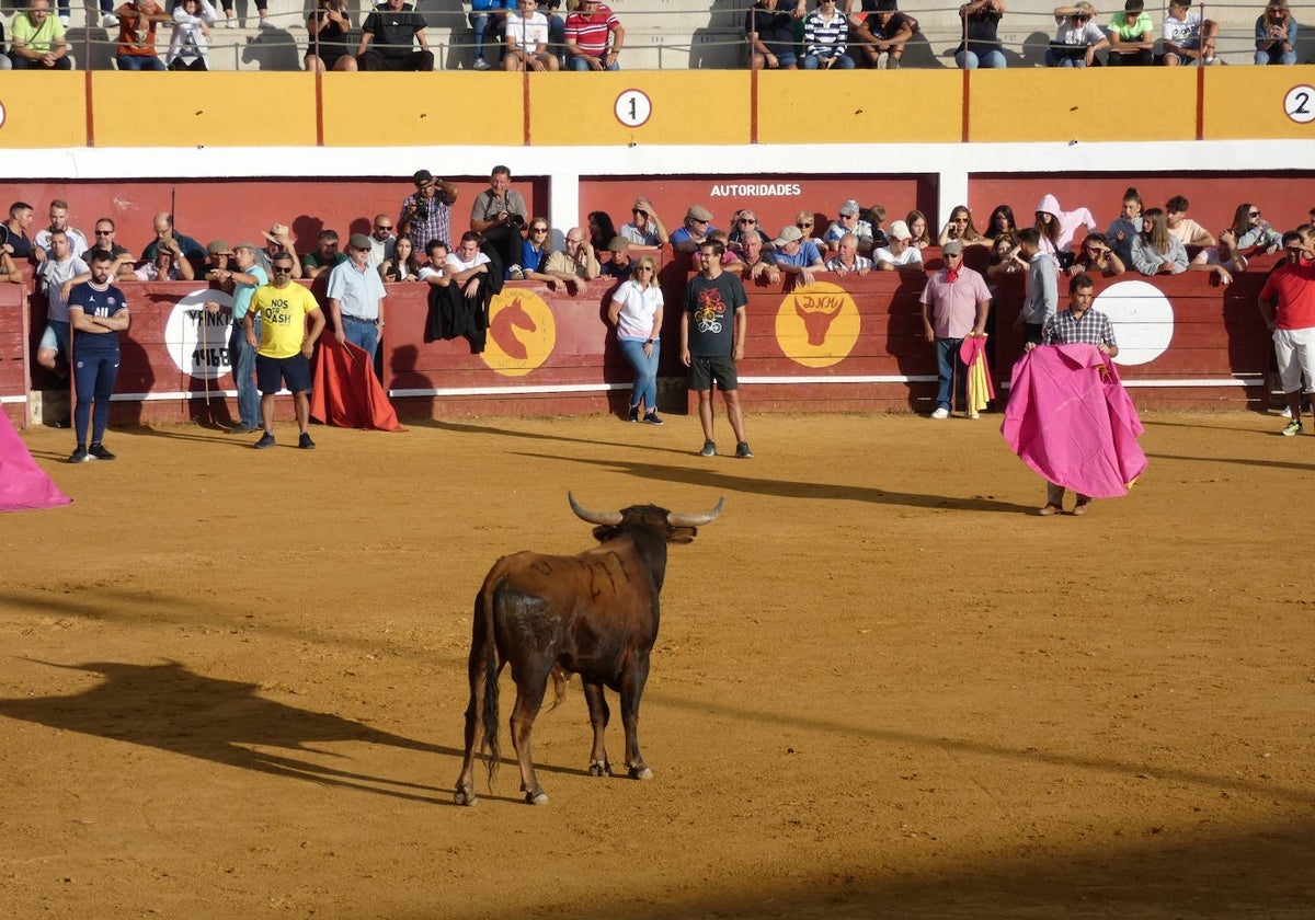 Capea tradicional al estilo macoterano.