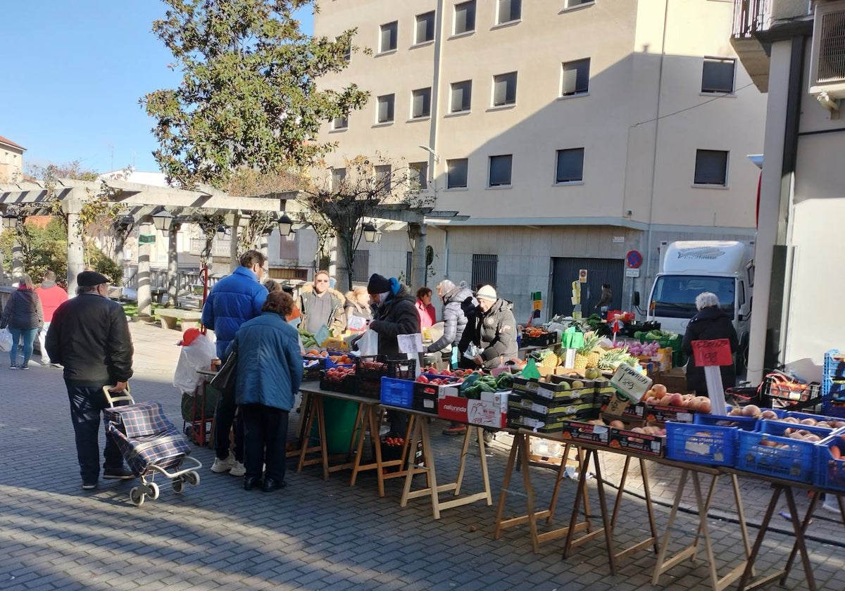 Imagen del mercado de frutas y verduras de los sábados en la plaza de Julián Coca.