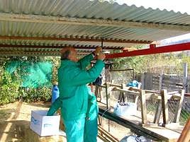Trampa de mosquitos para vigilar la lengua azul.