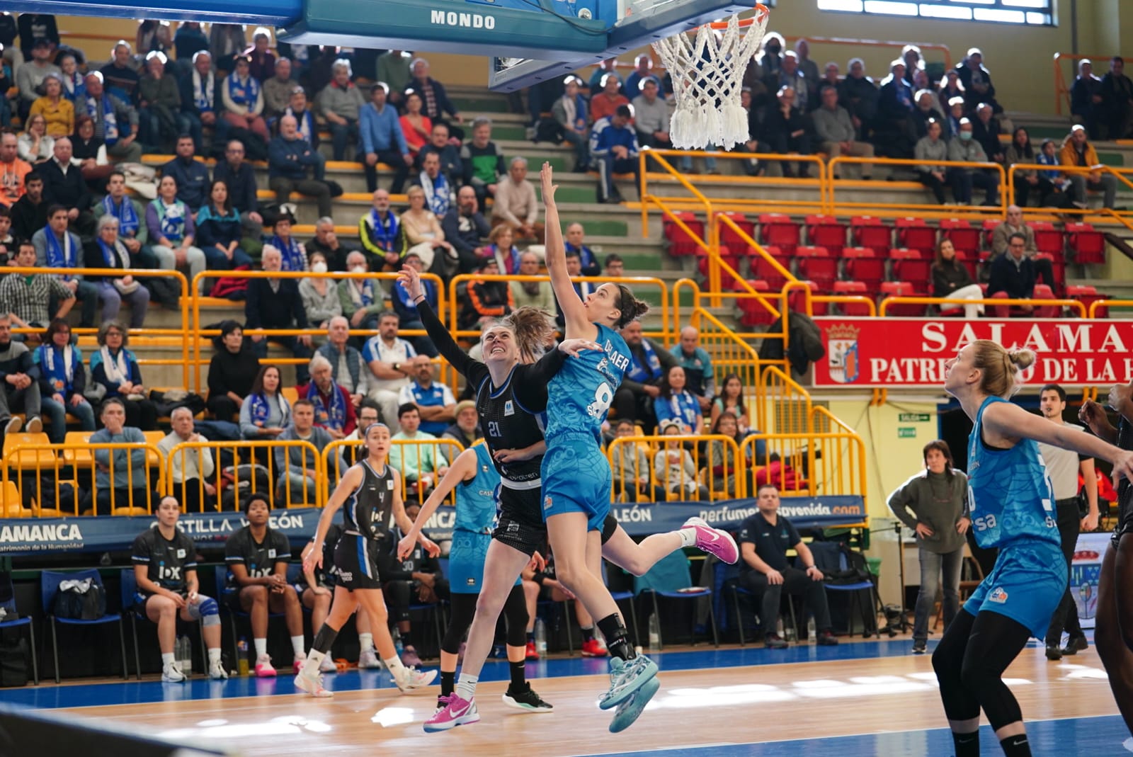 Búscate en la grada de Würzburg en el partido del Avenida contra el IDK
