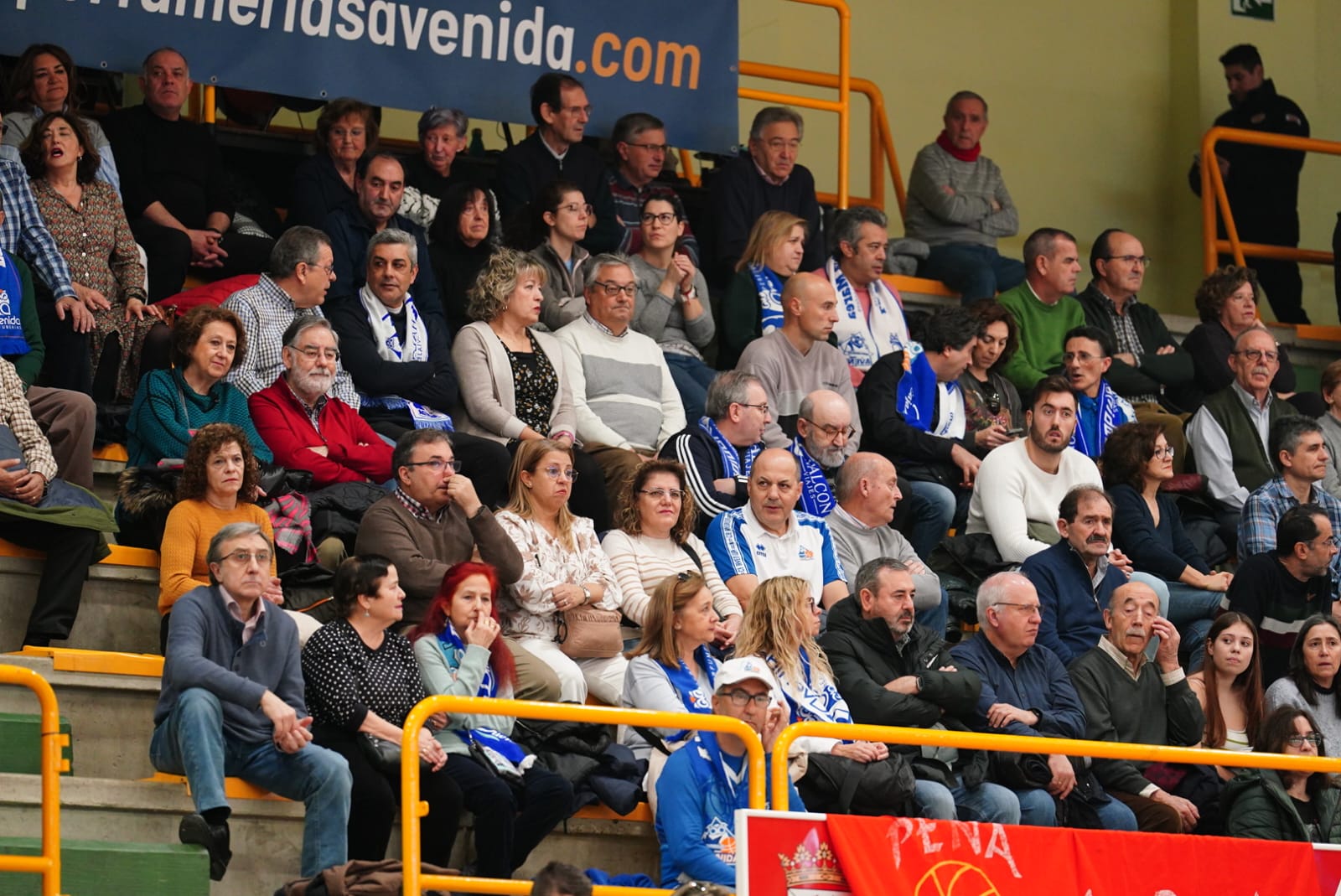 Búscate en la grada de Würzburg en el partido del Avenida contra el IDK