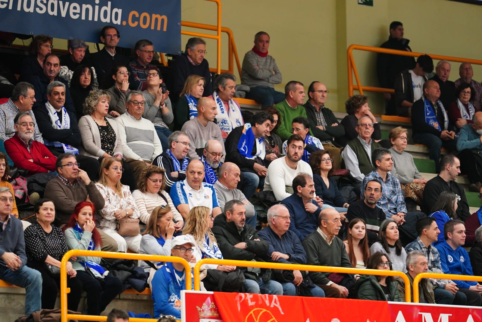 Búscate en la grada de Würzburg en el partido del Avenida contra el IDK