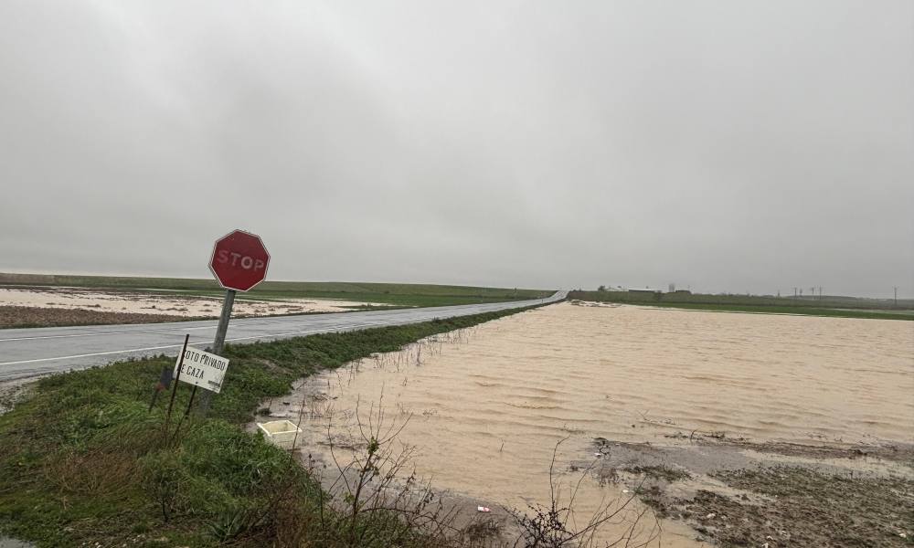 Abundante agua y nieve en Peñaranda y comarca