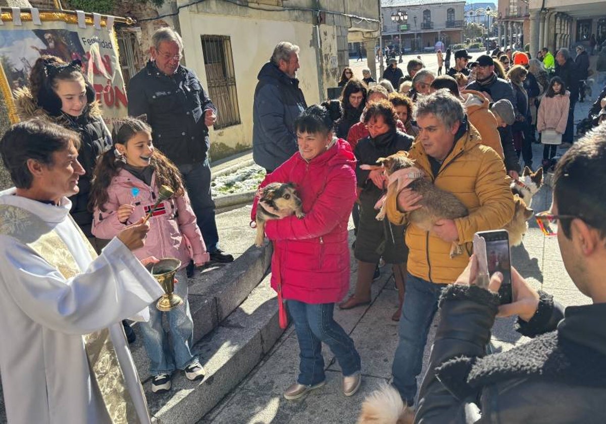 Bendición canina por San Antón en Peñaranda