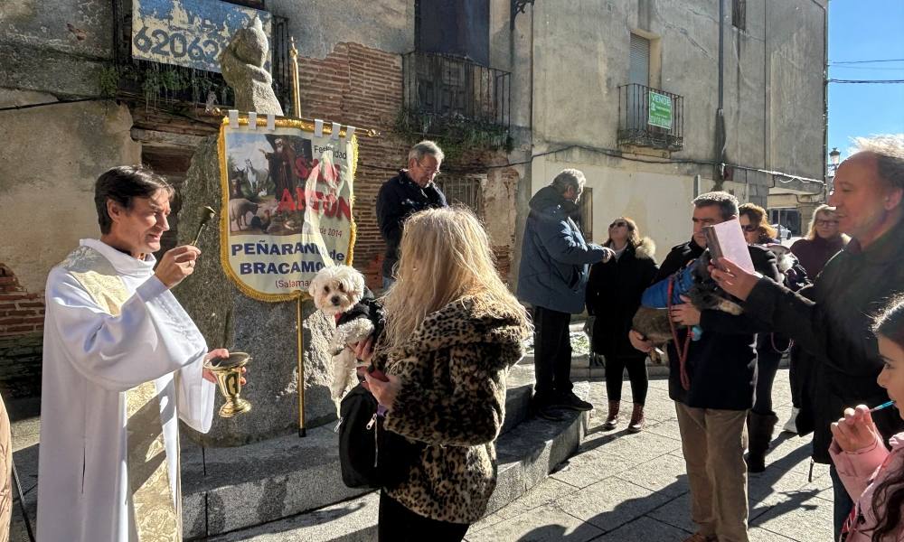 Bendición canina por San Antón en Peñaranda