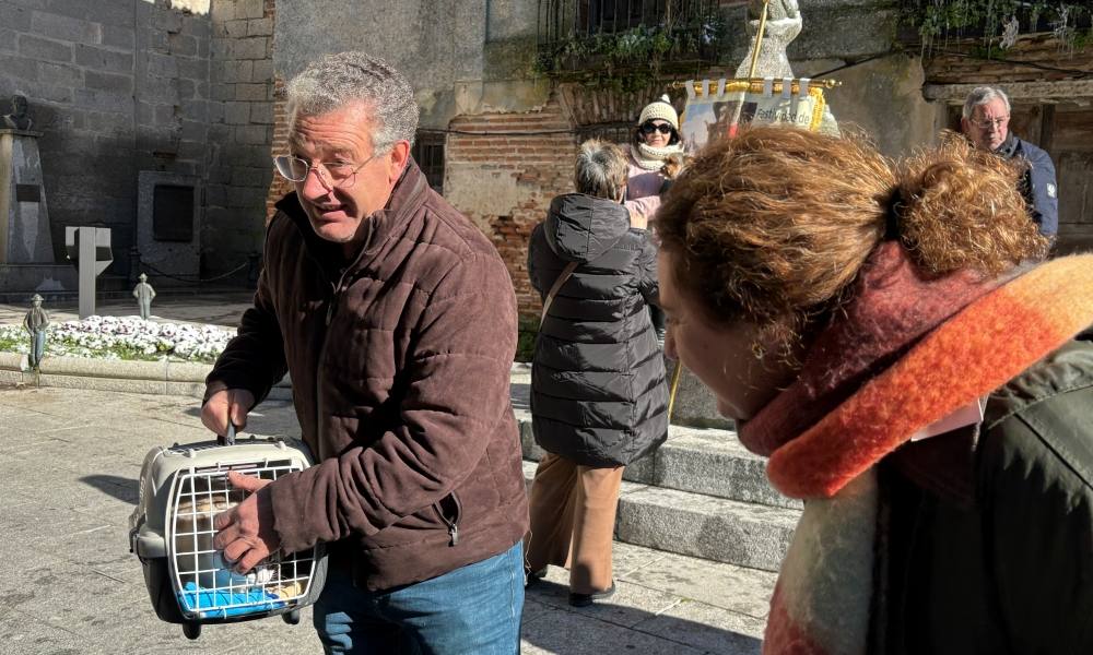 Bendición canina por San Antón en Peñaranda