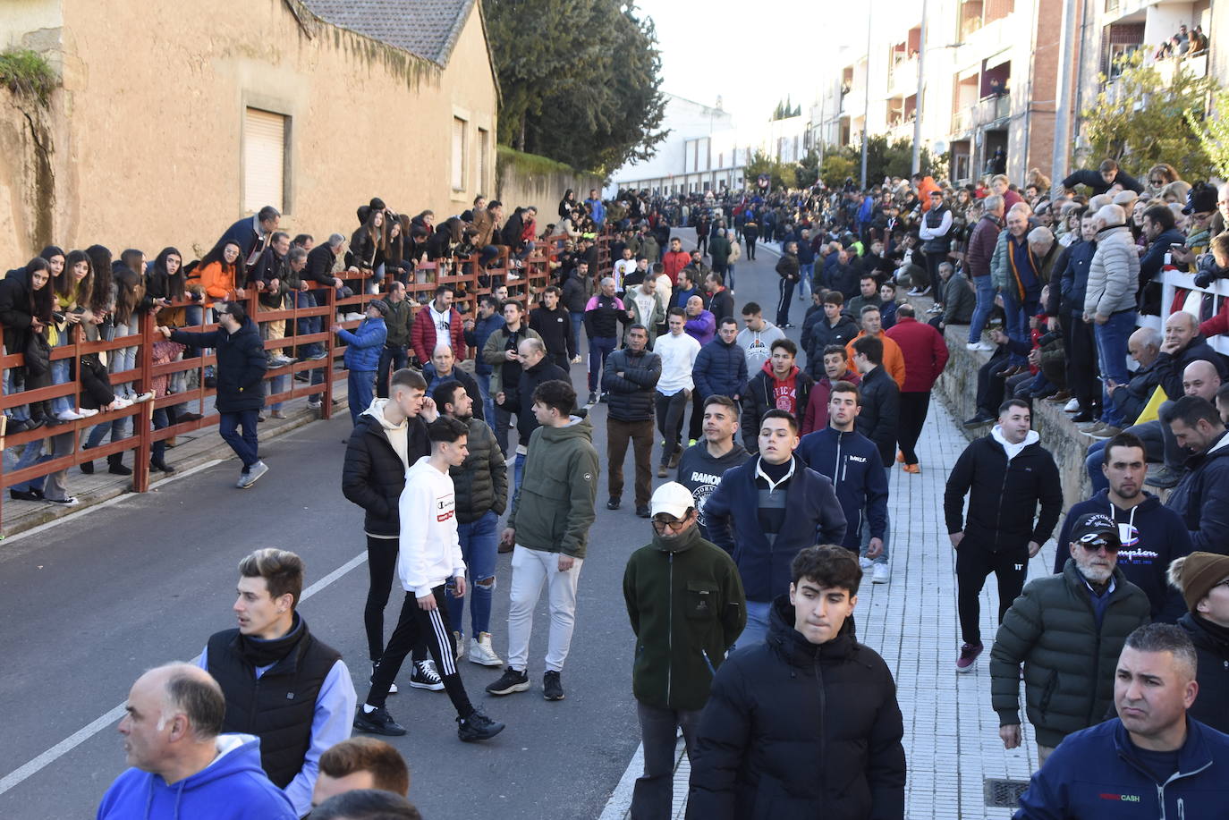 Multitudinario III Toro del patrón en Ciudad Rodrigo