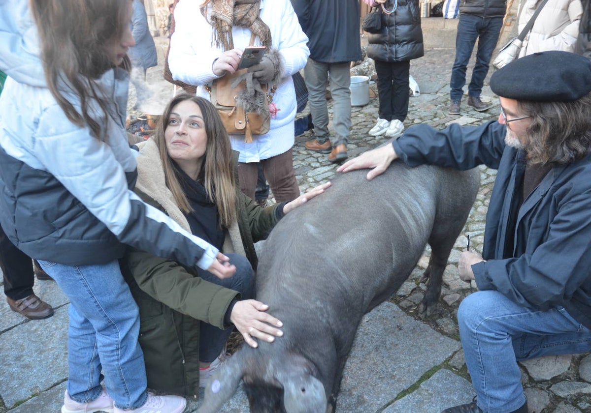 El marrano de San Antón se despide en La Alberca