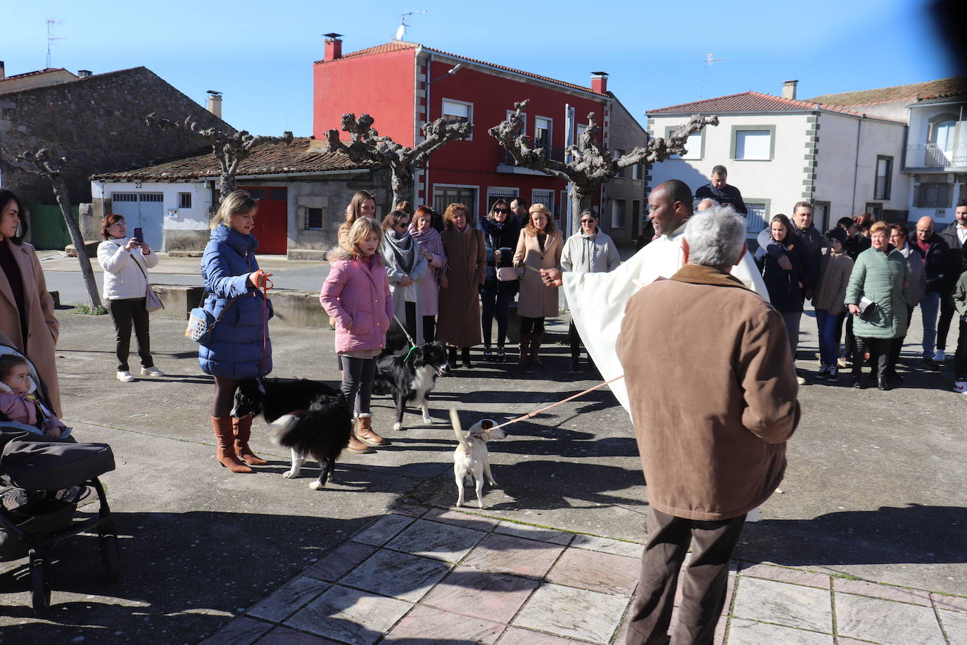 Peromingo no falta a su cita con la fiesta de San Antón