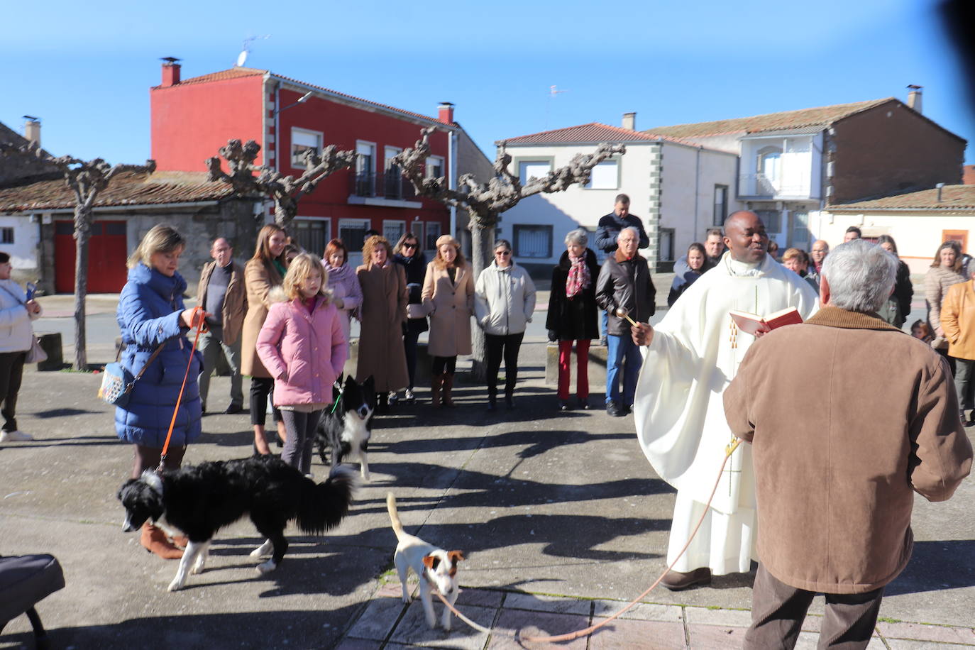 Peromingo no falta a su cita con la fiesta de San Antón