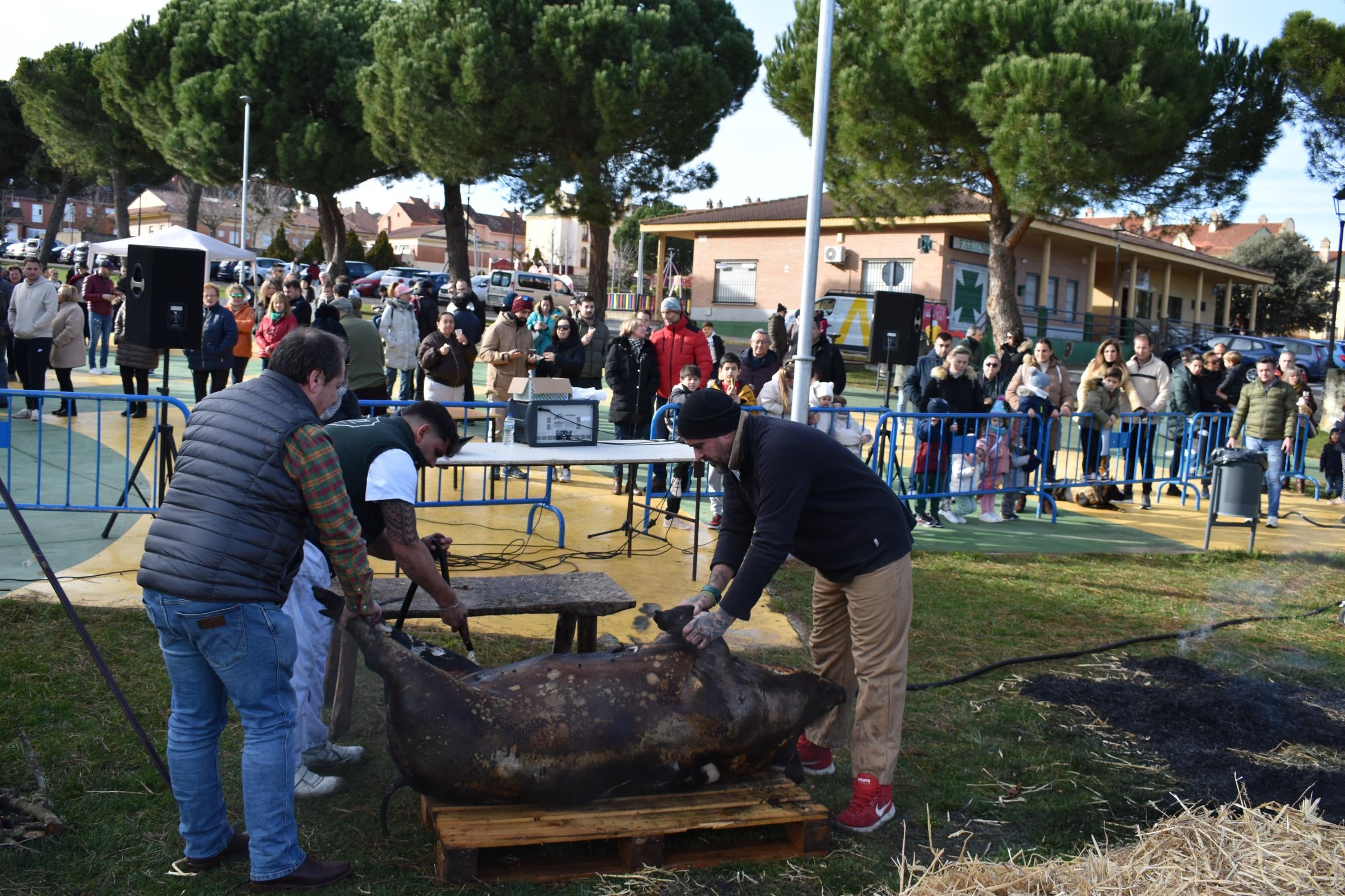 Tradición y convivencia en la matanza de Carrascal de Barregas