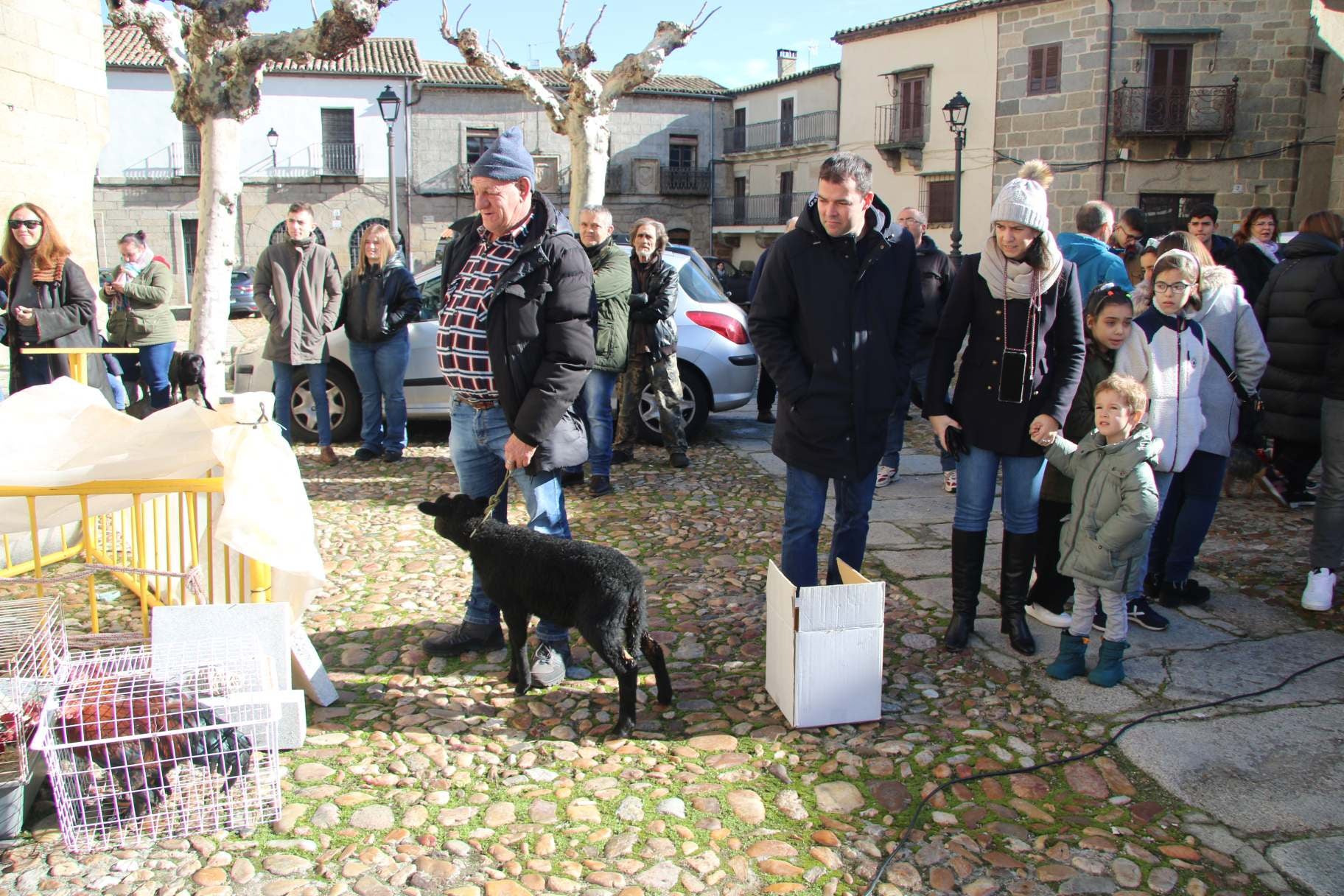 Ledesma, rendida a la tradición de San Antón y la subasta de lotes «Más vale, más darán»