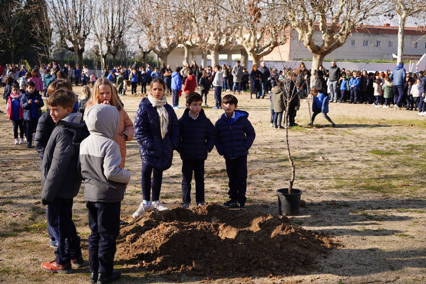 Los niños del Colegio Marista Champagnat plantan árboles dentro del proyecto &#039;Patios por el Clima&#039;