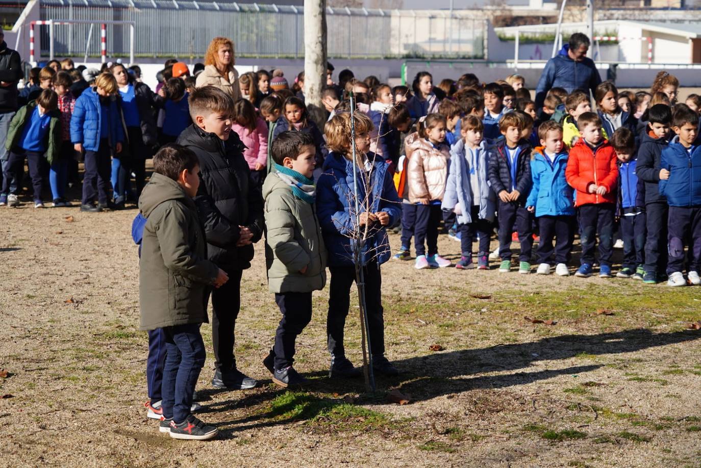 Los niños del Colegio Marista Champagnat plantan árboles dentro del proyecto &#039;Patios por el Clima&#039;