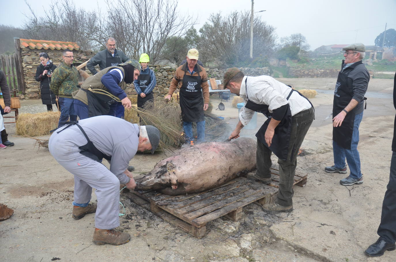 Cita ineludible con la Fiesta de la Matanza Tradicional en Saelices el Chico