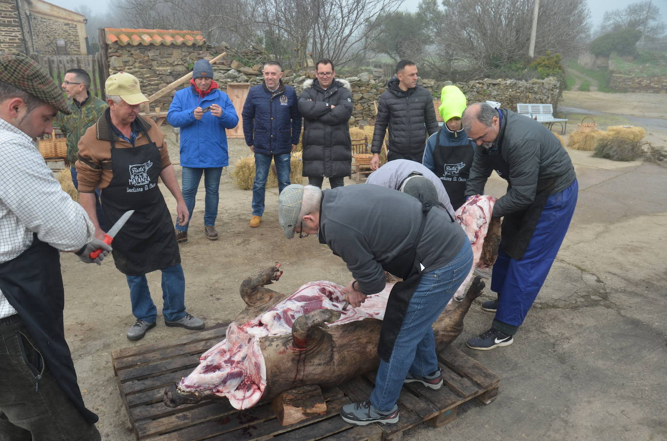 Cita ineludible con la Fiesta de la Matanza Tradicional en Saelices el Chico