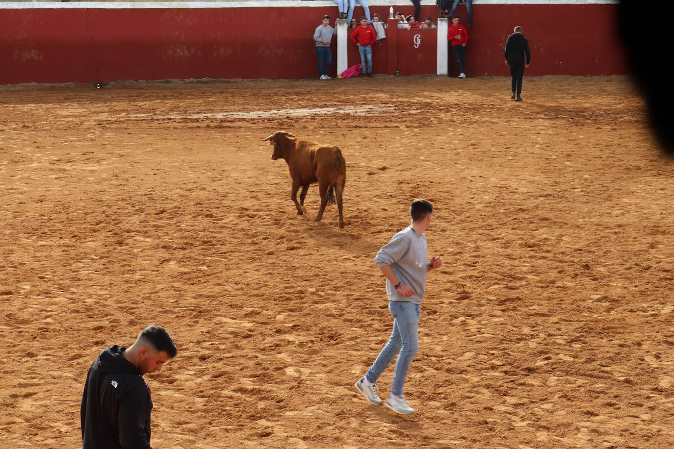 Valero disfruta de la víspera de San Valerio en una animada jornada de sabor campero y taurino