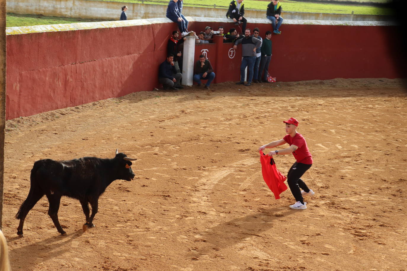 Valero disfruta de la víspera de San Valerio en una animada jornada de sabor campero y taurino