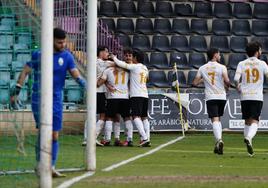 Los jugadores del Salamanca celebran el gol de Martín Galván.