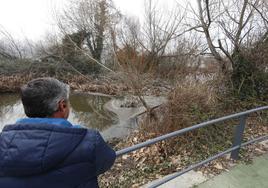 Un hombre contempla el agua estancada por la maleza junto al puente Enrique Estevan.