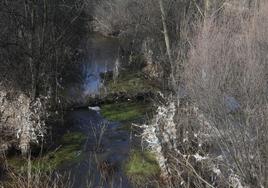 ¿Considera un problema la basura arrastrada por el río Tormes?