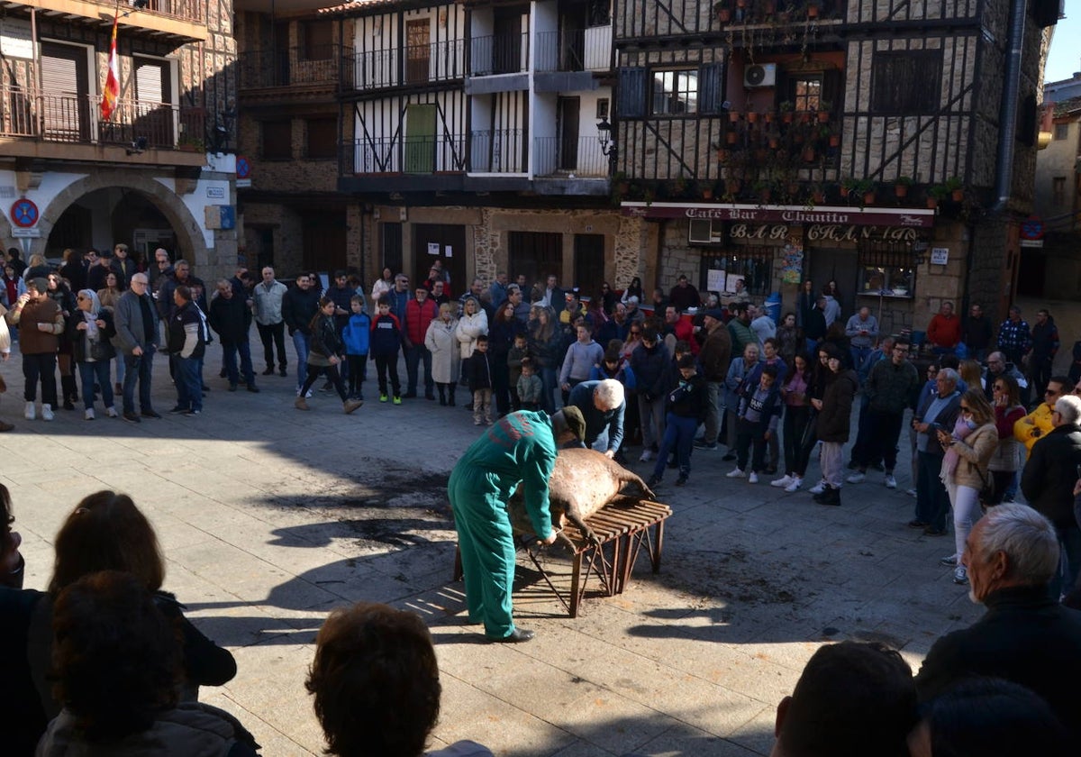 Fiesta de la Matanza Tradicional en Sotoserrano