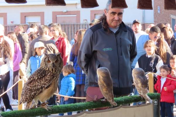 Babilafuente conoce aves rapaces de todo el mundo en directo