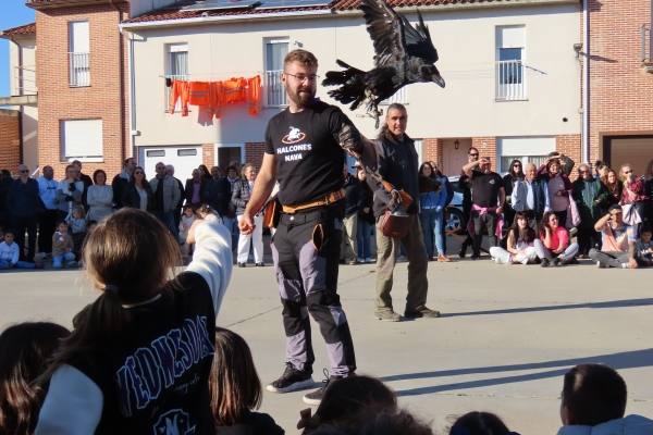 Babilafuente conoce aves rapaces de todo el mundo en directo