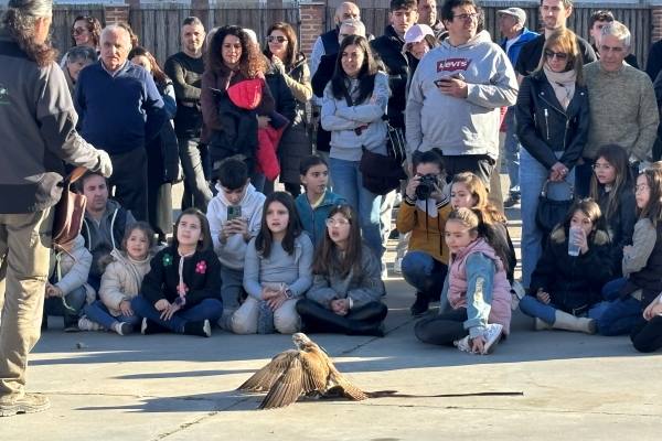 Babilafuente conoce aves rapaces de todo el mundo en directo