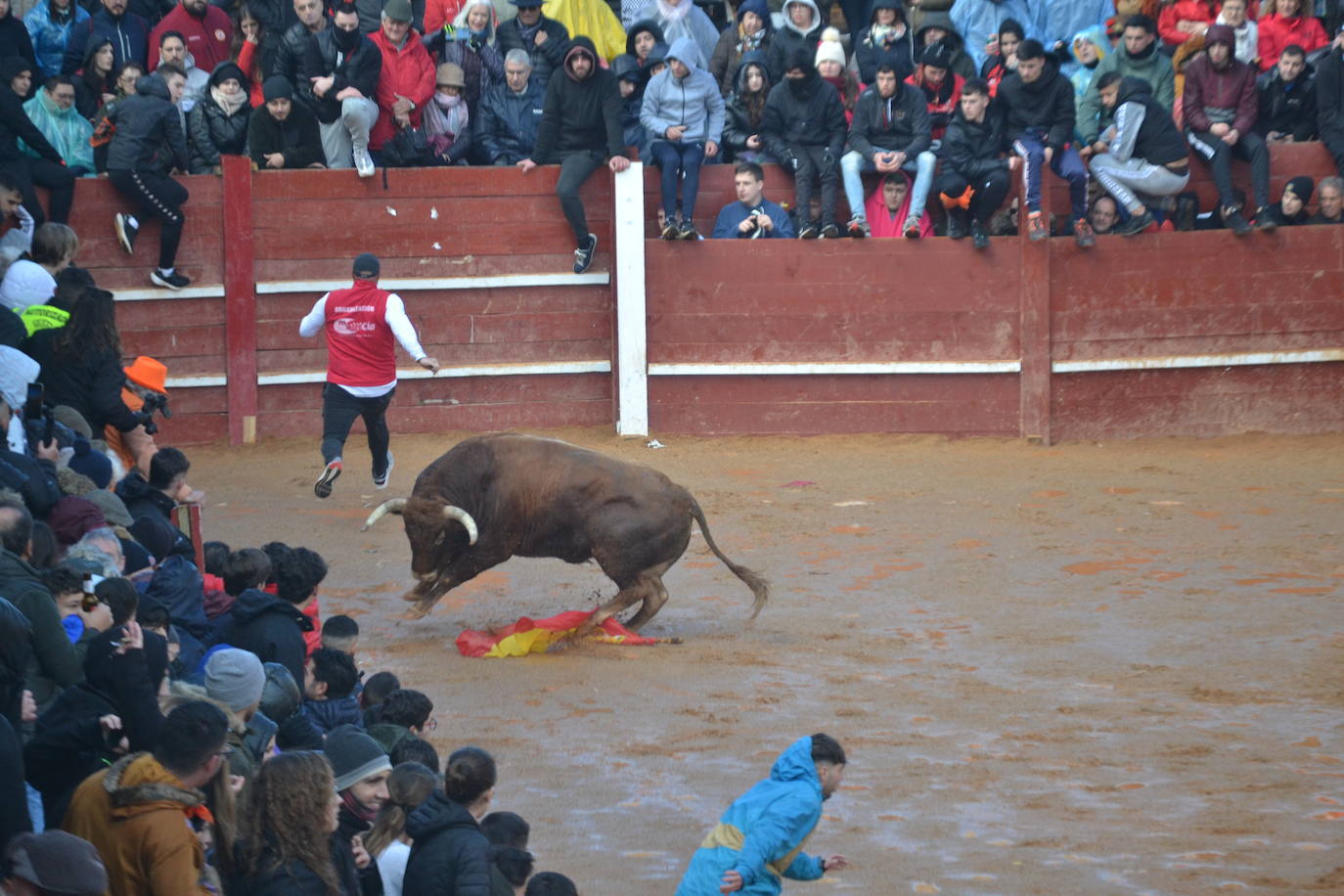 El primer y accidentado encierro en el Carnaval del Toro, en imágenes