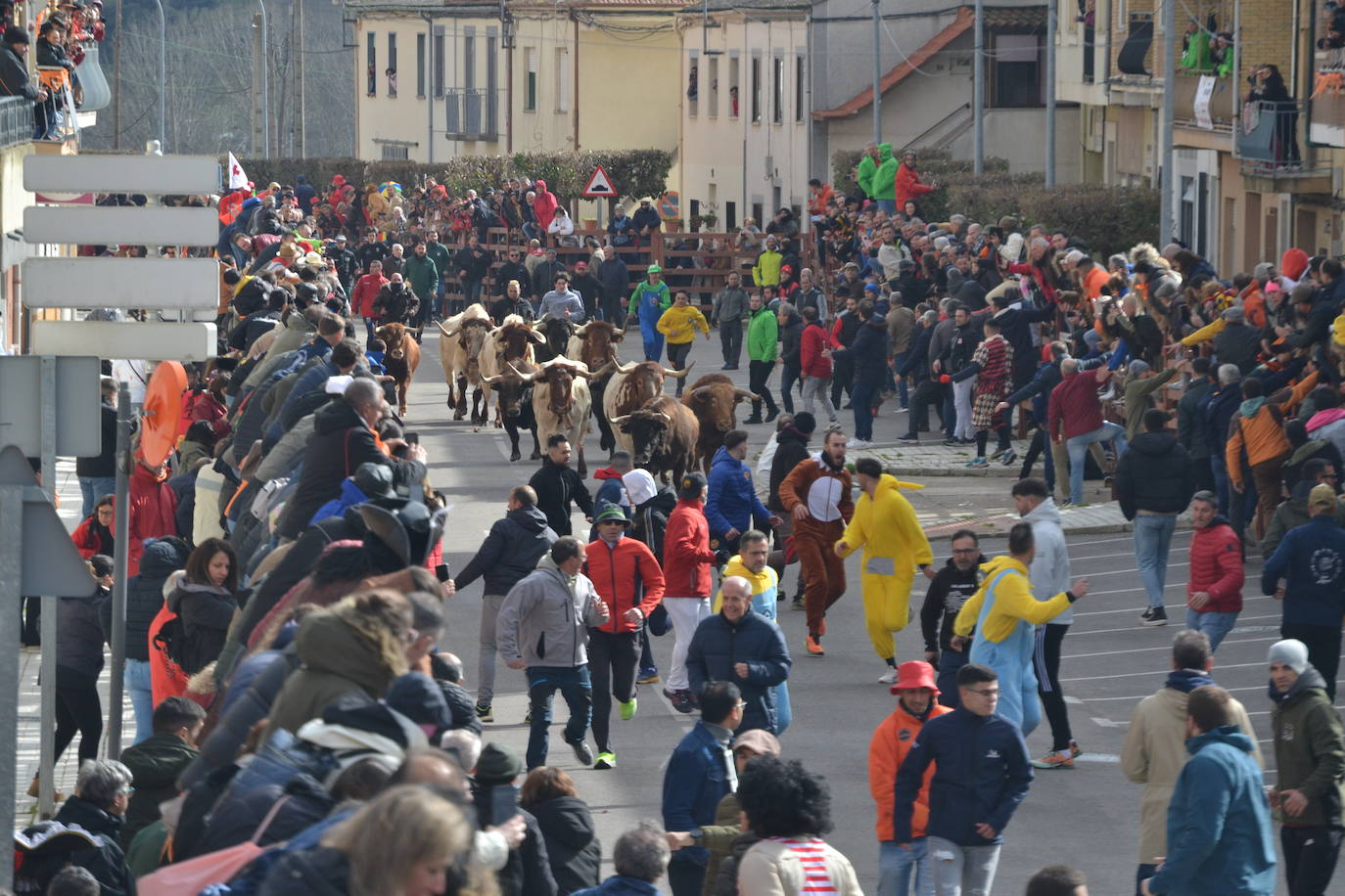 El primer y accidentado encierro en el Carnaval del Toro, en imágenes