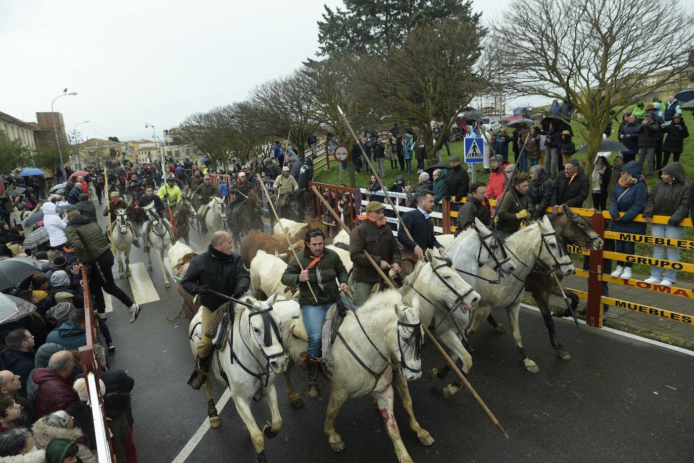 Rápido y vistoso encierro a caballo del Carnaval del Toro