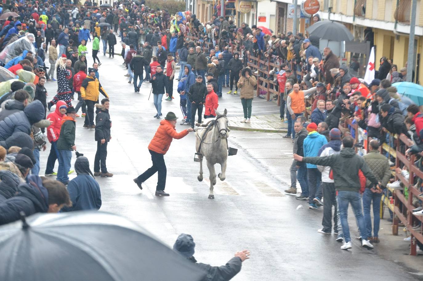 Rápido y vistoso encierro a caballo del Carnaval del Toro