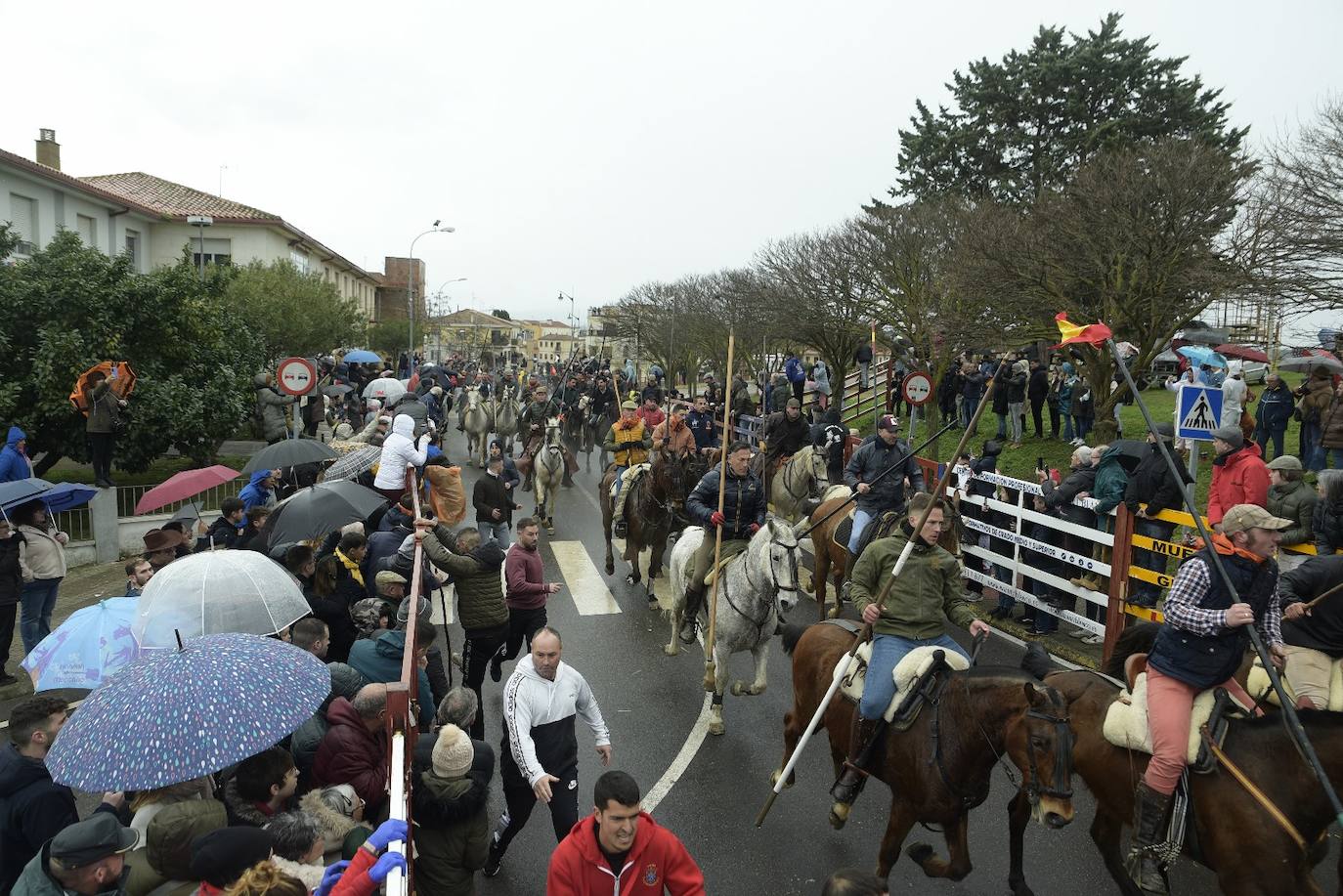 Rápido y vistoso encierro a caballo del Carnaval del Toro