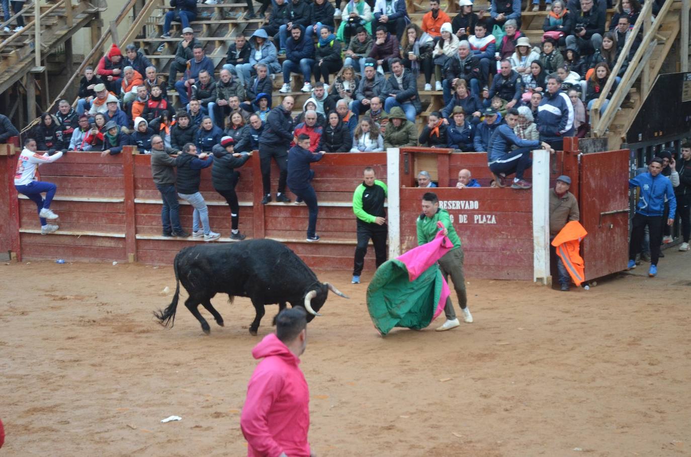 Buen juego del Toro del Aguardiente del Carnaval de Ciudad Rodrigo 2024