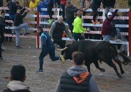 Buen juego del Toro del Aguardiente del Carnaval de Ciudad Rodrigo 2024